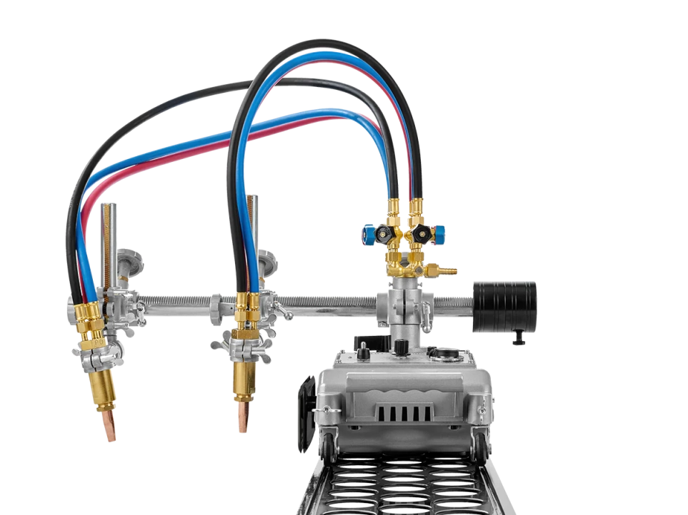CG1—100 (с 2 резаками)